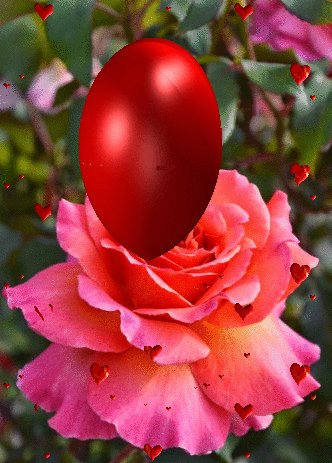 file_93755453