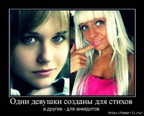 file_64292011