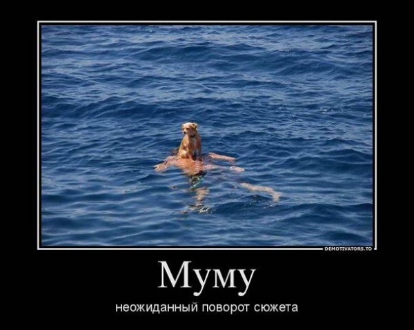 interesnye-demotivatory-43