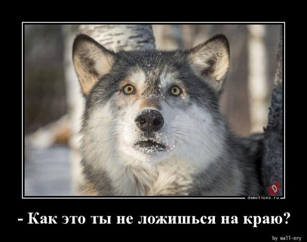 Kak-eto-ty-ne-lozhi demotions.ru