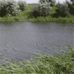 RusFishM0b 128 128