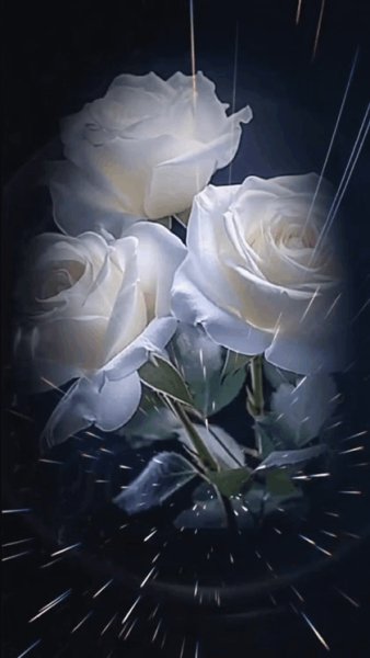 IMG 20240626 152445