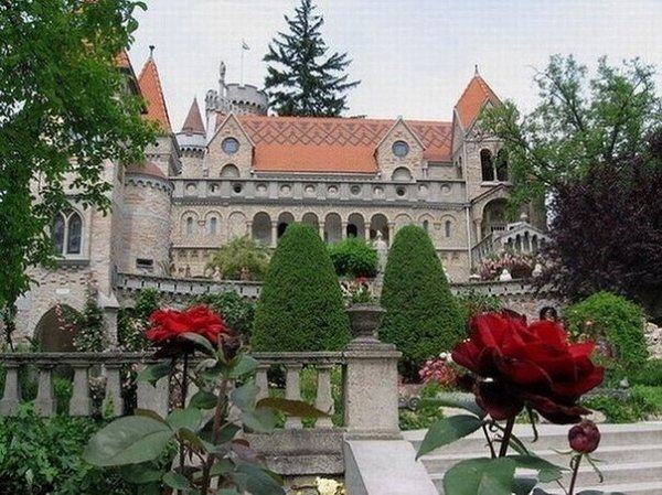 image (41)