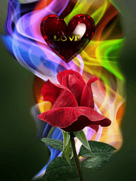Poзa Love