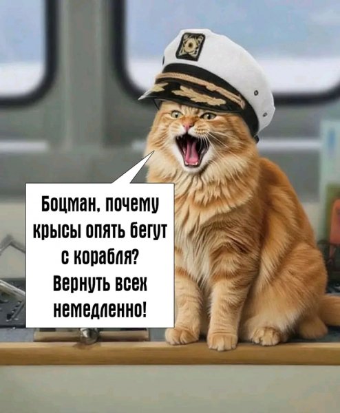 file_103310487