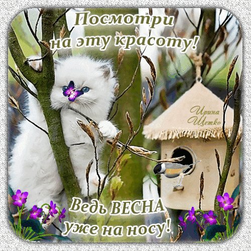 Анимированная открытка посмотри на эту