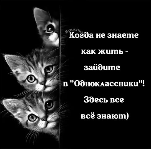 IMG 20260502 093126