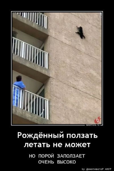 Рождённый ползать летать может, когда сорвётся