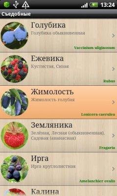 Ягоды. Справочник (v1.01)