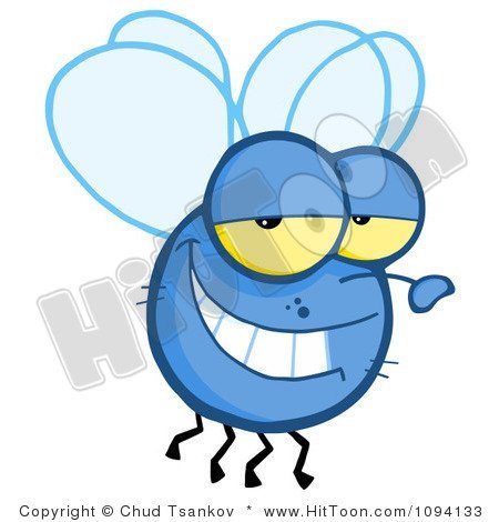 Flybug - Run