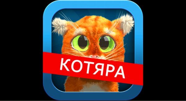 Шутки от говорящего Барсика