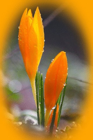 B6ea980e8d38ca3345e87ba833fe54f8