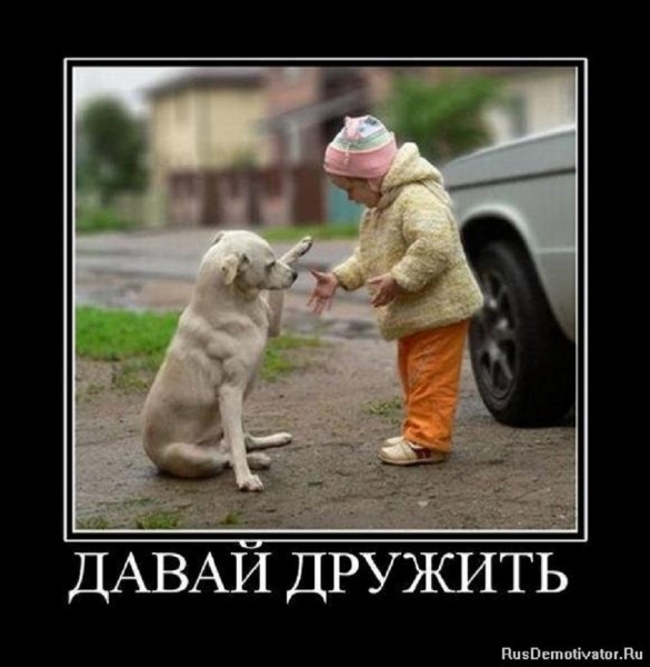Давай дружить