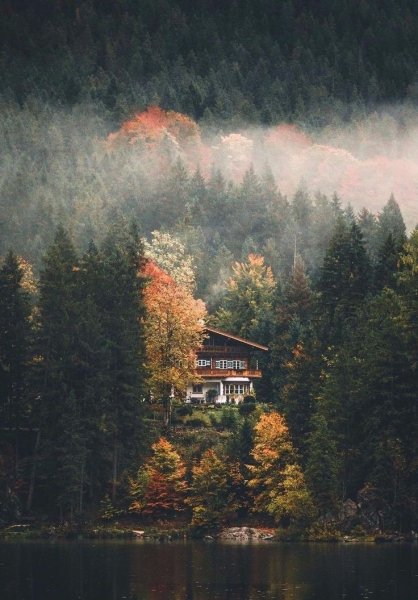 file_101218008