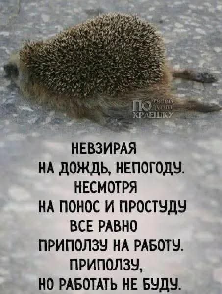 FB IMG 1778837870229