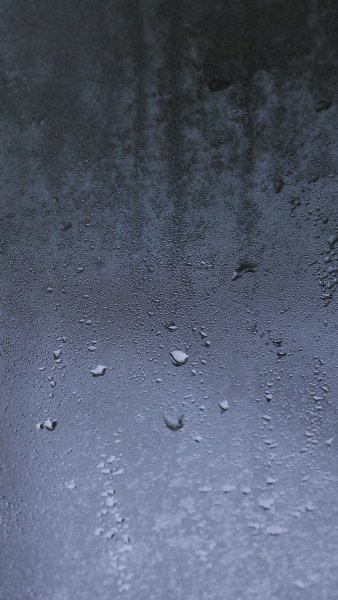 file_72569026