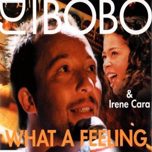 DJ BoBo &amp; Irene Cara - Man in the Mirror (Album Version)