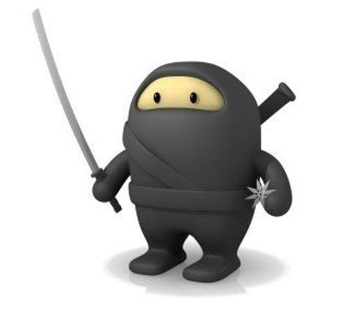 ninja-setup-3.0.3