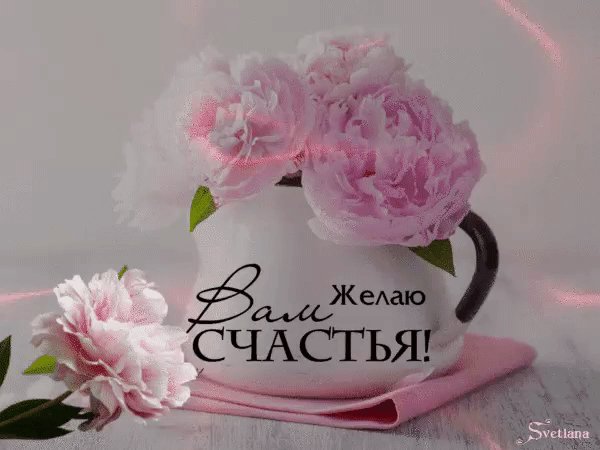 IMG 20260414 130459