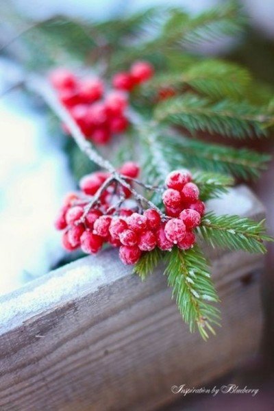 file_94875065
