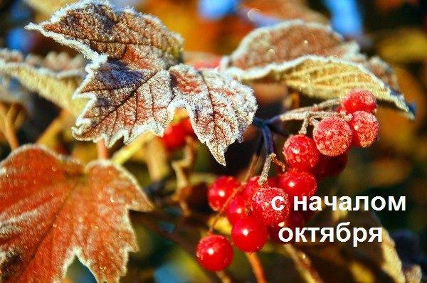 file_74976913