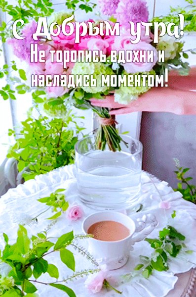 Ba0c067219b26c93048ad313877c491a