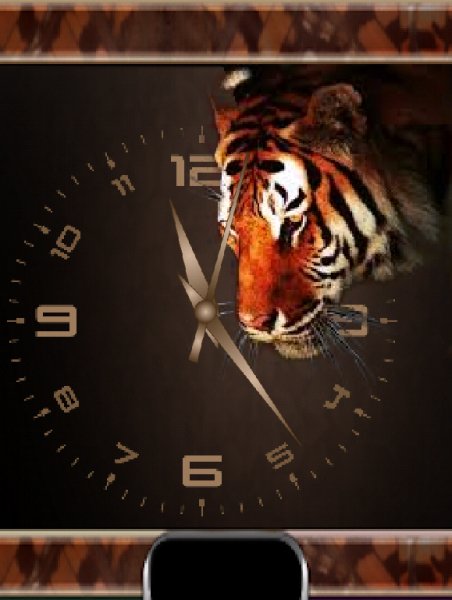 Tigr