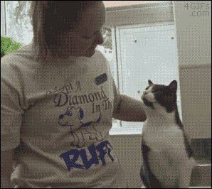 Когда Вам С Котом Больше Никто И Не Нужен