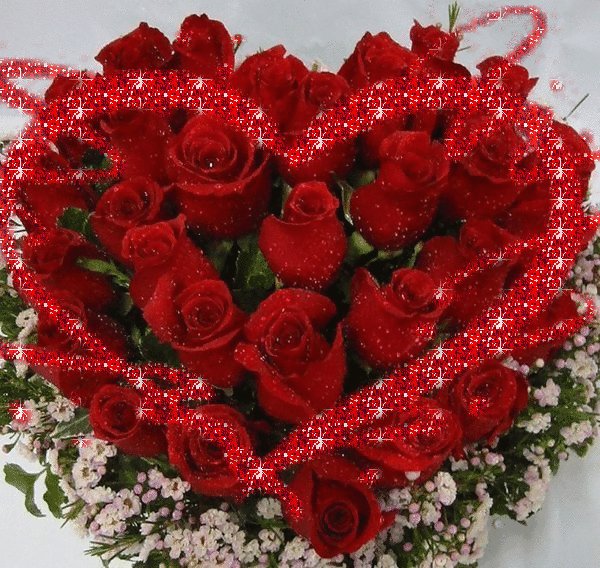 Алые розы