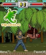 Rogue Fighter