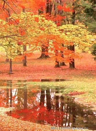 file_70832101