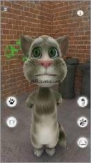 talcing tom cat 3