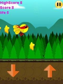 mad bird dash
