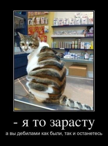Так и останетесь