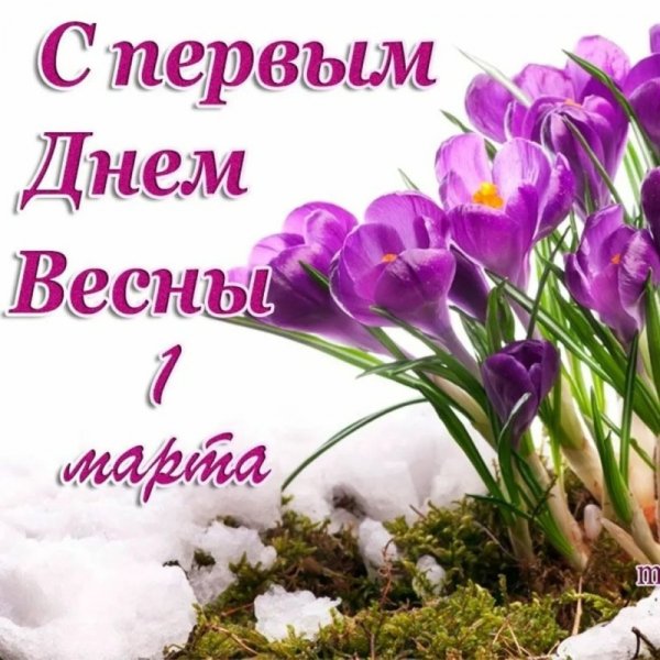 f9994439af0269ba5dd2a17d778df