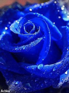 file_57378882