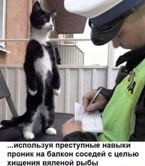 ,