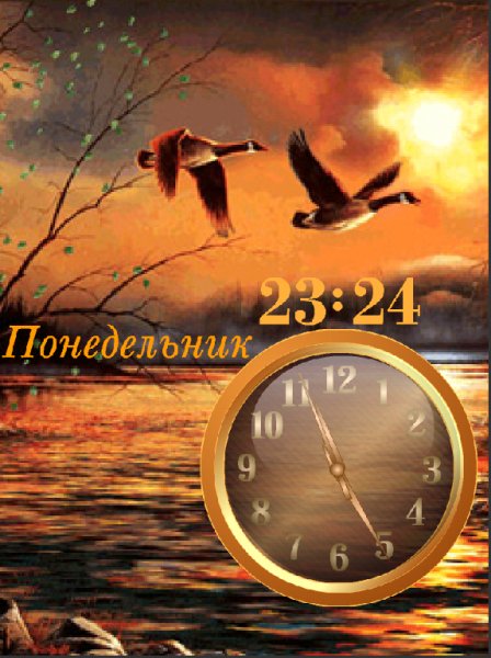 Перелет птиц