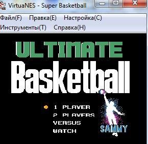 VirtuaNES
