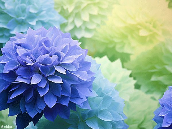 file_97479034