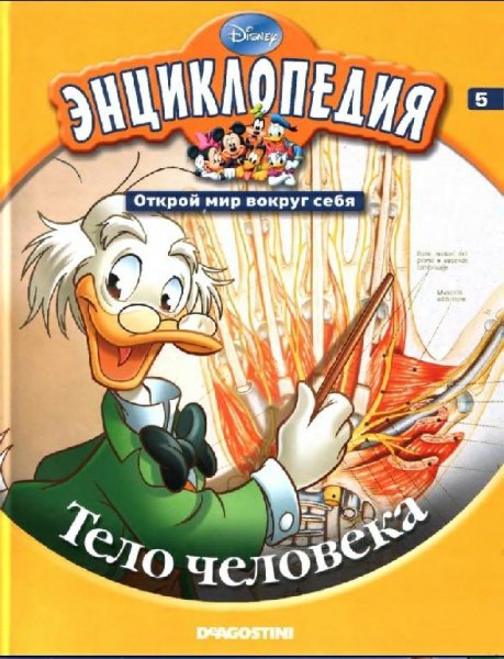 Disney - Том 05. Тело человека