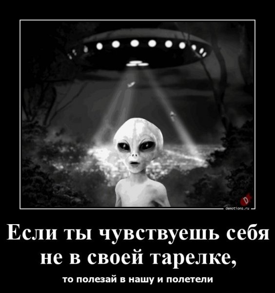 file_101287017