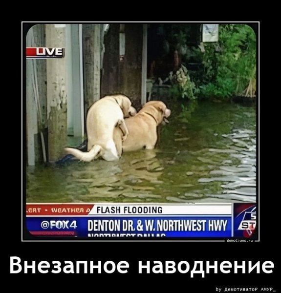 Внезапное наводнение