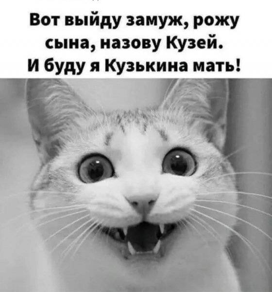 FB IMG 1777225730637