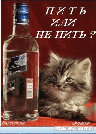 Пить или не пить ???