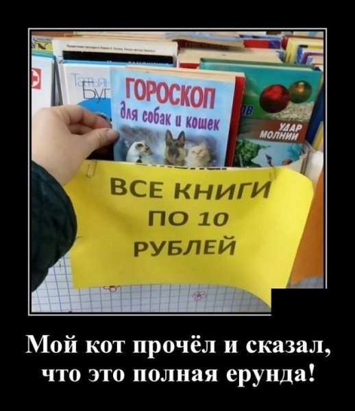 Мой кот прочел и сказал, что это полная ерунда