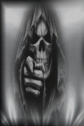 image (26)