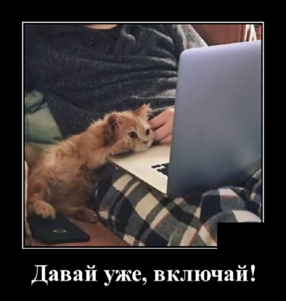 Давай уже включай...