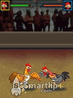 CockВыбери себе петуха и в бой