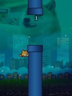 FlappyDoge-